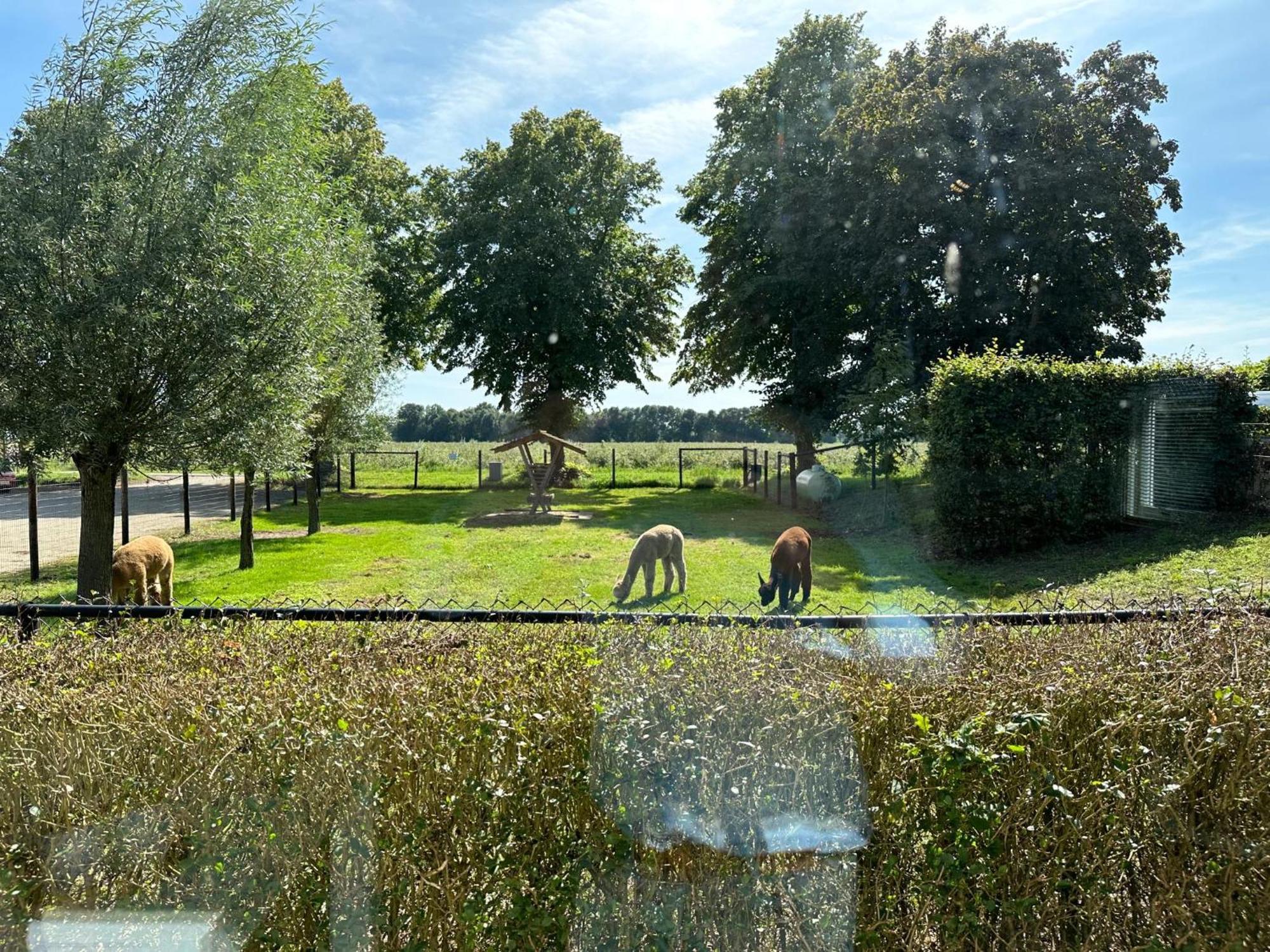 Alpacafarm Vorstenbosch Εξωτερικό φωτογραφία