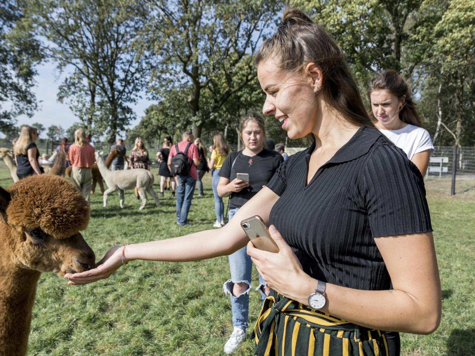 Alpacafarm Vorstenbosch Εξωτερικό φωτογραφία