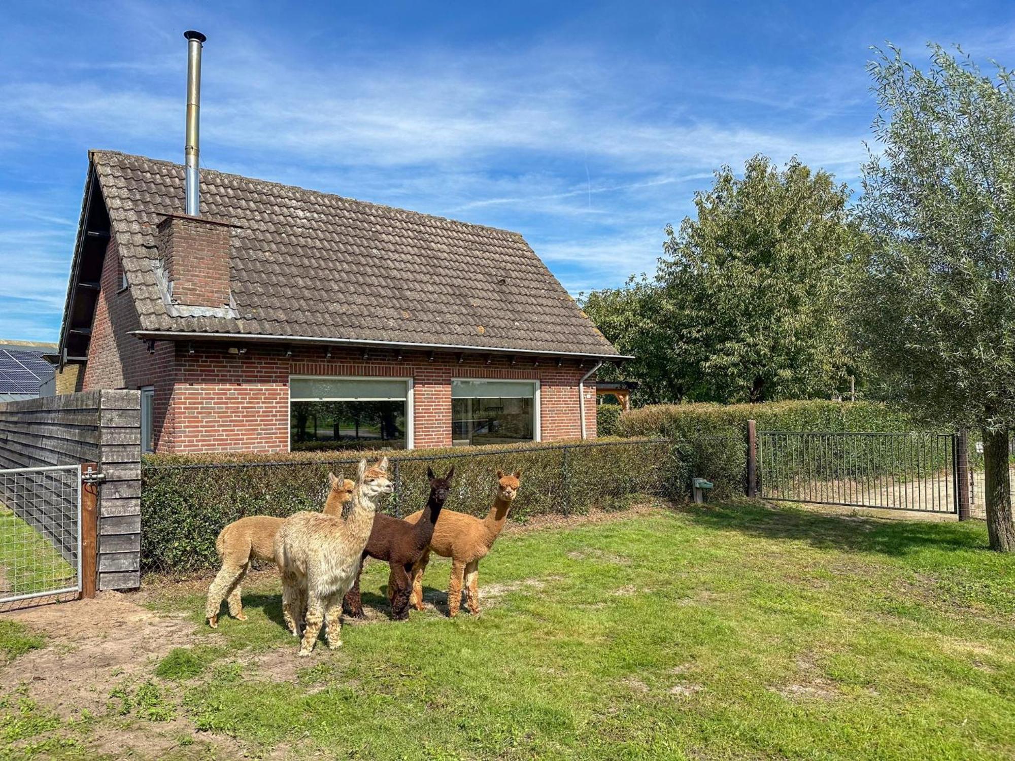 Alpacafarm Vorstenbosch Εξωτερικό φωτογραφία