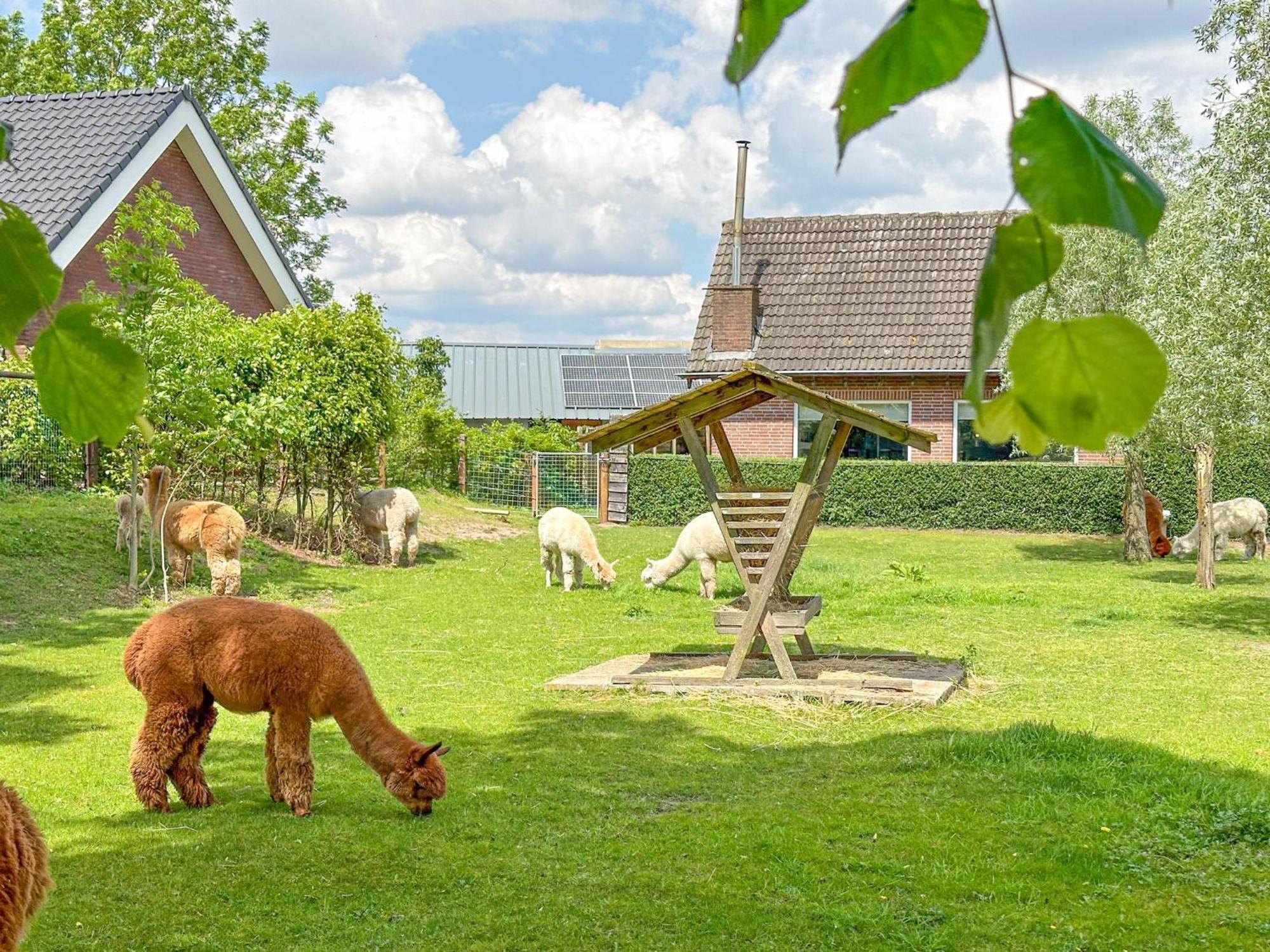 Alpacafarm Vorstenbosch Εξωτερικό φωτογραφία