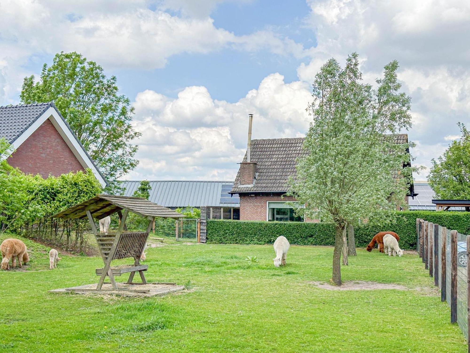 Alpacafarm Vorstenbosch Εξωτερικό φωτογραφία